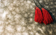 reins