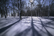 winter shadows