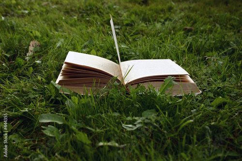 book book