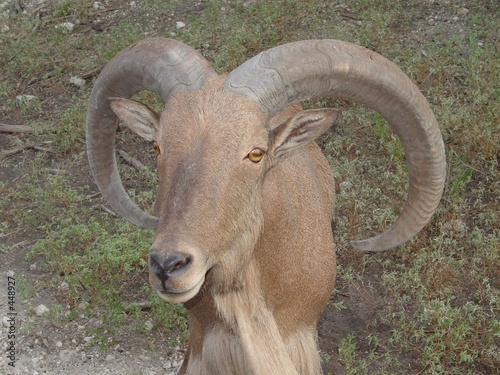 Photo: what are you looking at? what are you looking at?