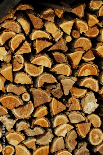 tas de bois