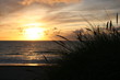 sonnenuntergang in den dünen
