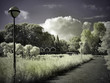 dream path