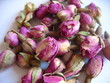 boutons de roses boutons de roses