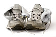 trainers