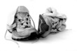 trainers