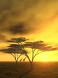 abendstimmung in afrika
