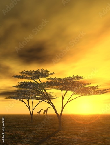 Illustration: abendstimmung in afrika abendstimmung in afrika