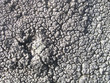 stone texture stone texture