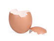 easter eggshell