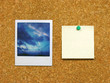 polaroid & post-it on corkboard