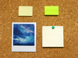 polaroid & post-it on corkboard