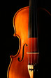 canvas print picture violin