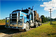 camion