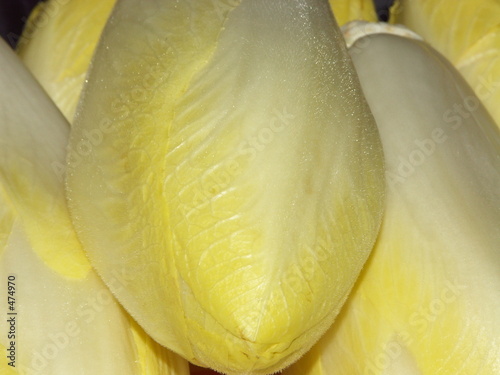 endives