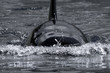 Photo: above and below above and below