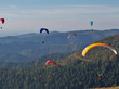 drachenfliegen