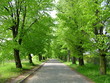 Photo en ligne au meilleur prix road