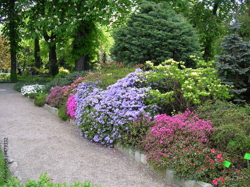 Photo: flowers flowers