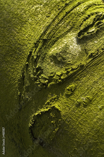 arbre