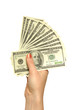 girl's hand with dollars