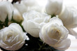 soft romance