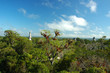 templeview i