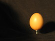 Photo: oeuf oeuf