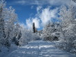sunny ski trail