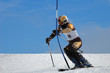 ski racer