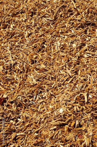 copeaux de bois