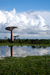 baobab miroir (marofandilia, madagasikara) baobab miroir (marofandilia, madagasikara)