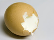 cracked egg cracked egg