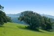 northern california spring