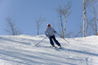 ski 010 toma downhill