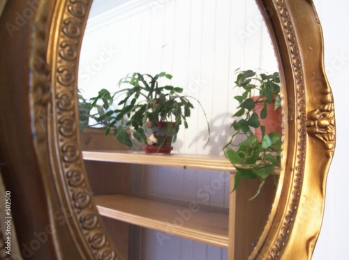 mirror reflexion close up