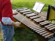 playing the xylophone in the park