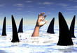 sharks