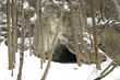 cave and trees at winter
