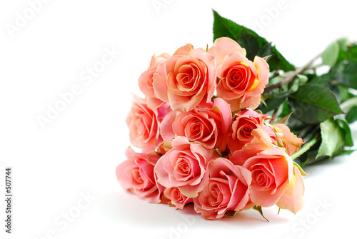 pink rose bouquet on white