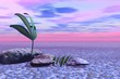 pink sunrise.