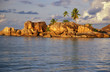 palms on the rocks