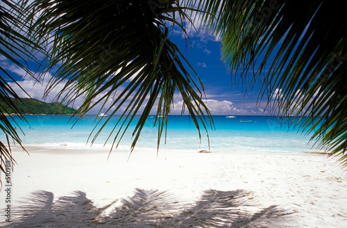 white sand beach