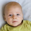 baby portret