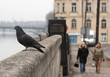 krakow