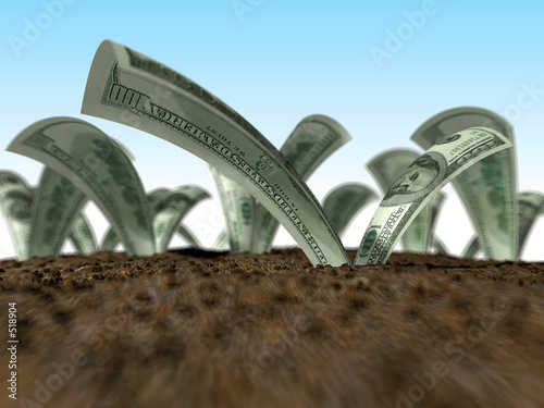 dollars growing