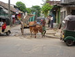 charrue à matara charrue à matara