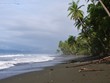 view of the beach in punta banco at dawn