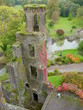 blarney birds eye
