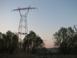 Photo: pilone pilone